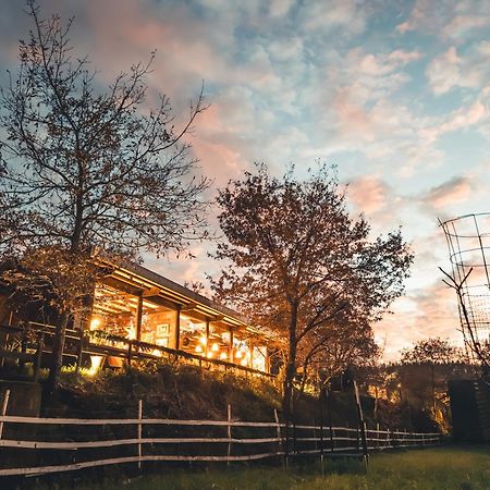 Vale Da Silva Villas - Homes Albergaria-a-Velha Eksteriør bilde