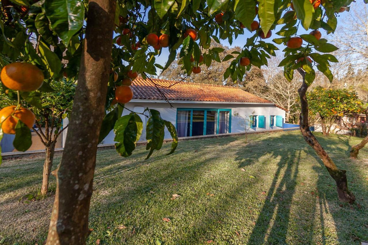 Vale Da Silva Villas - Homes Albergaria-a-Velha Eksteriør bilde