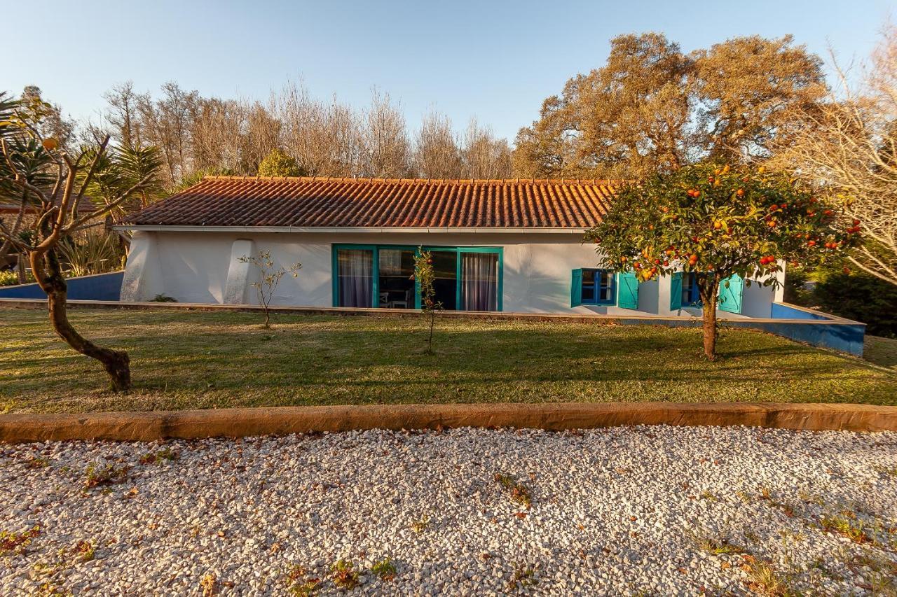 Vale Da Silva Villas - Homes Albergaria-a-Velha Eksteriør bilde
