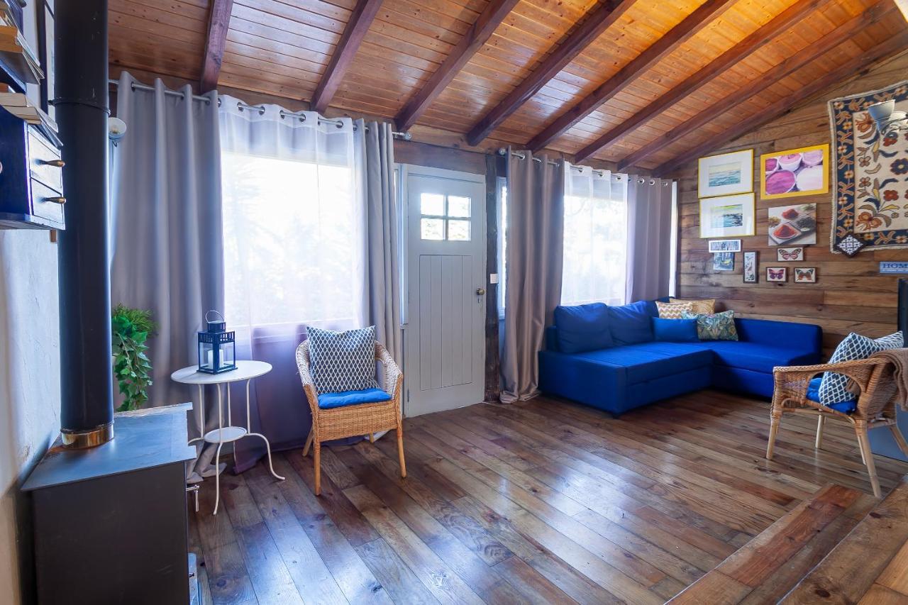 Vale Da Silva Villas - Homes Albergaria-a-Velha Eksteriør bilde