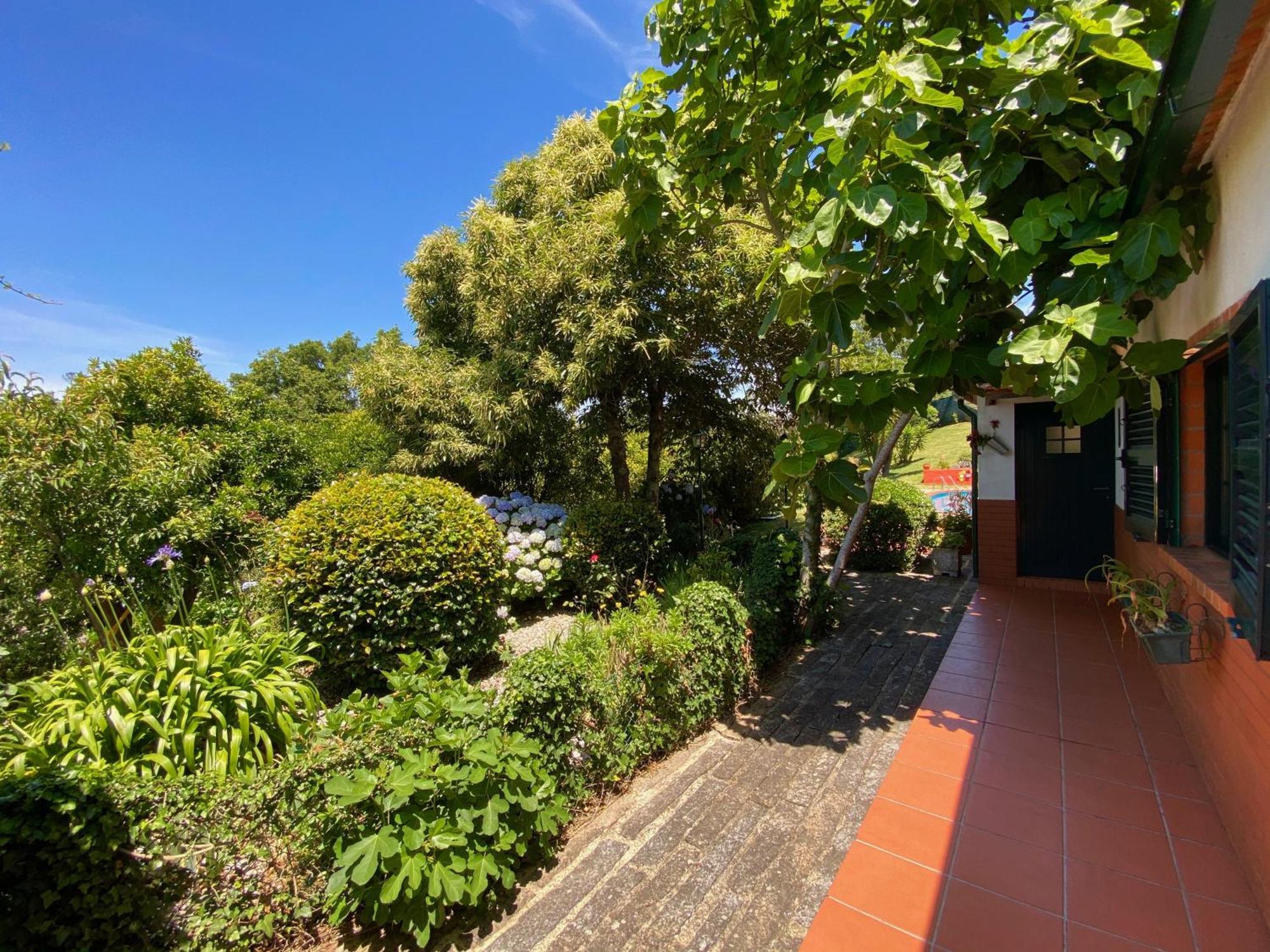 Vale Da Silva Villas - Homes Albergaria-a-Velha Rom bilde